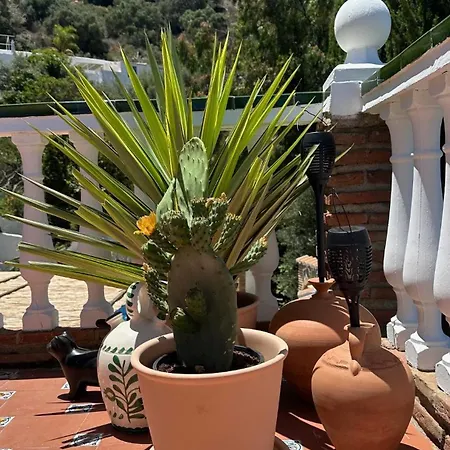 Jina Tatil Evi