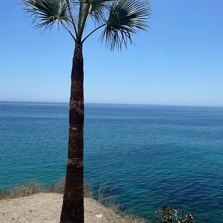Jina * Torrox